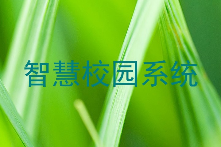 智慧校园系统