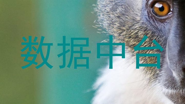 数据中台