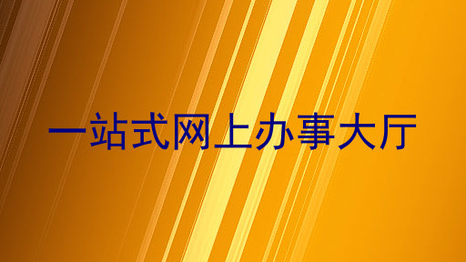 一站式网上办事大厅