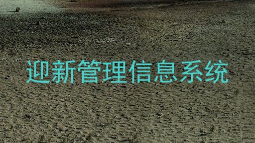 迎新管理信息系统