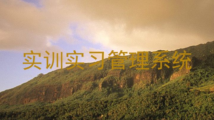 实训实习管理系统