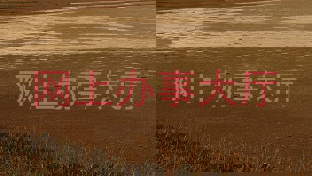 网上办事大厅