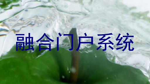 融合门户系统