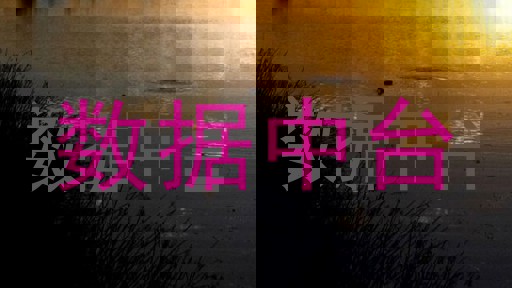 数据中台