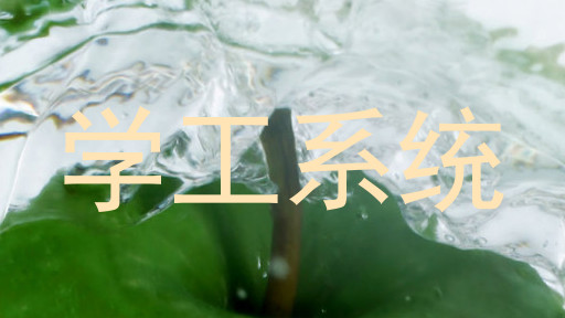 学工系统