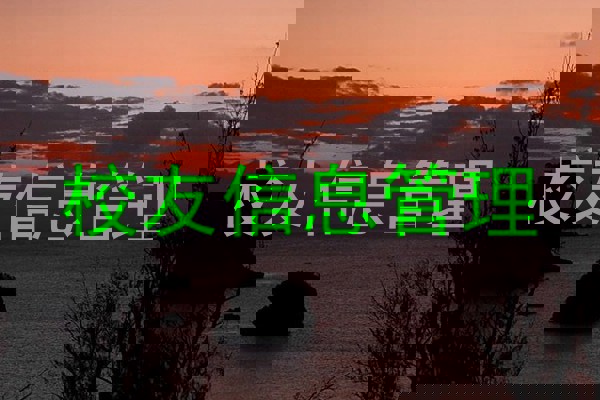 校友信息管理