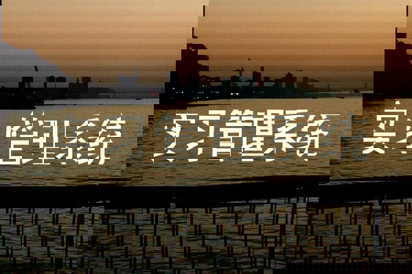 实习管理系统