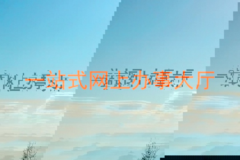 一站式网上办事大厅