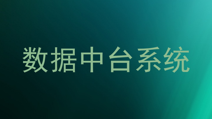 数据中台系统