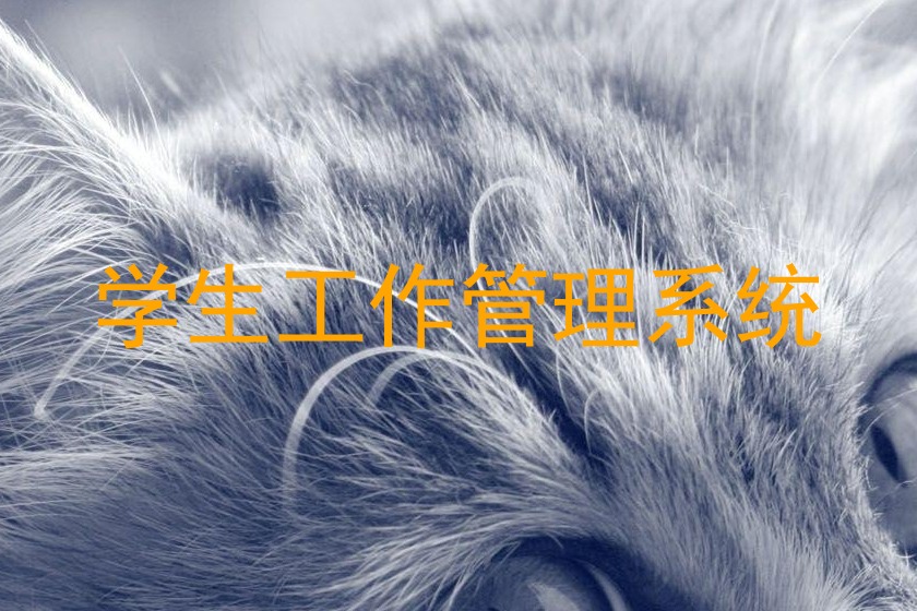 学生工作管理系统