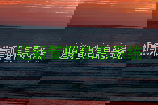 迎新管理信息系统