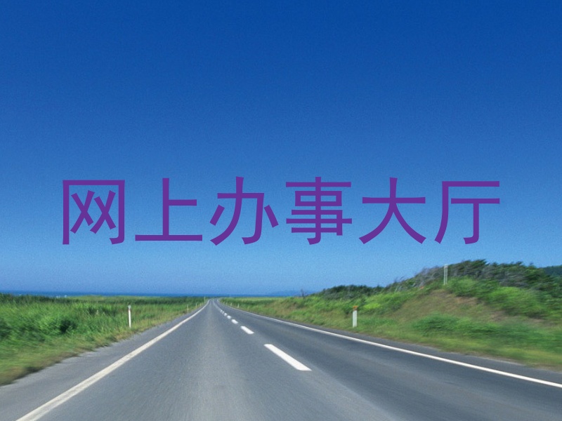 网上办事大厅