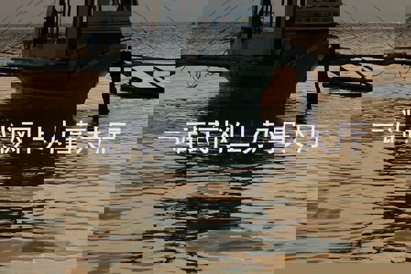 一站式网上办事大厅