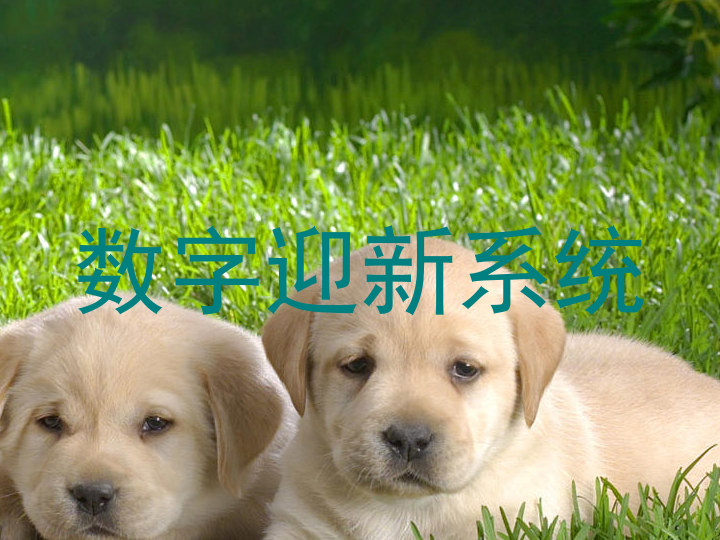 数字迎新系统