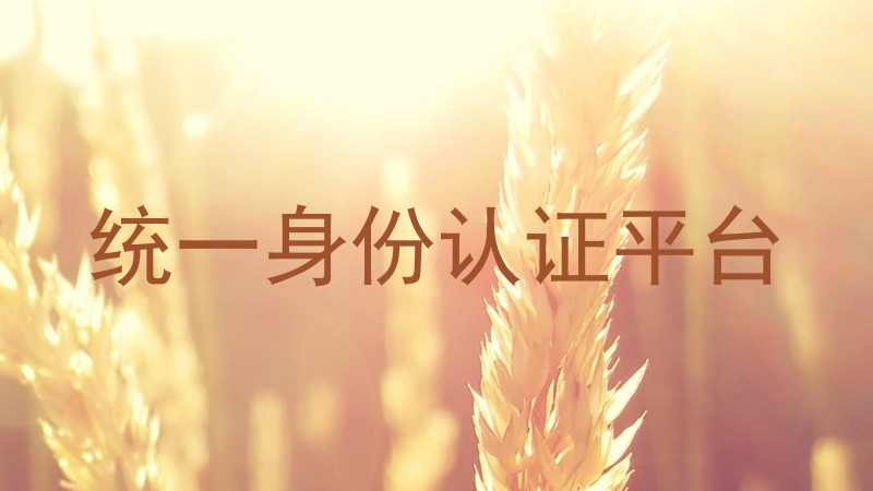 统一身份认证平台