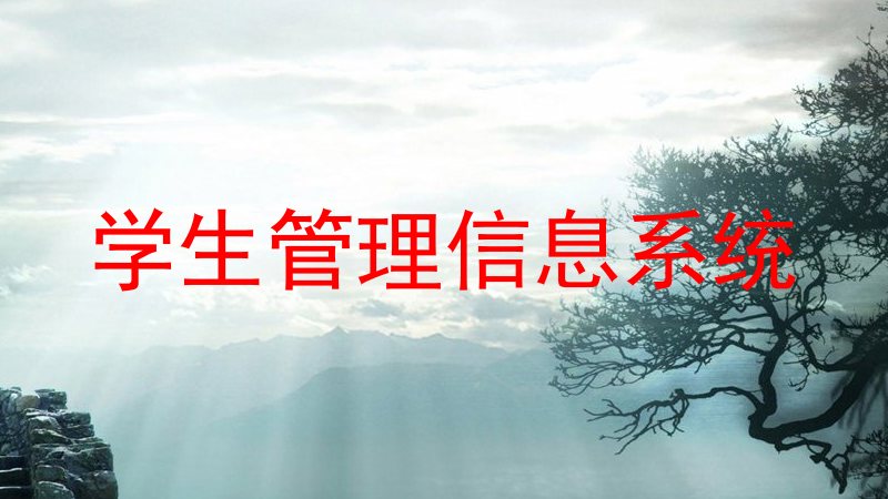 学生管理信息系统
