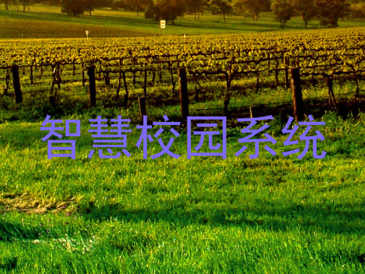 智慧校园系统