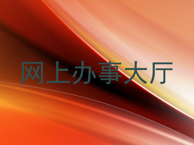 网上办事大厅