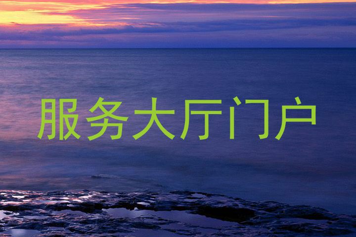 服务大厅门户