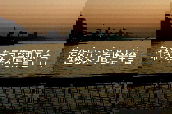 在线实习管理平台