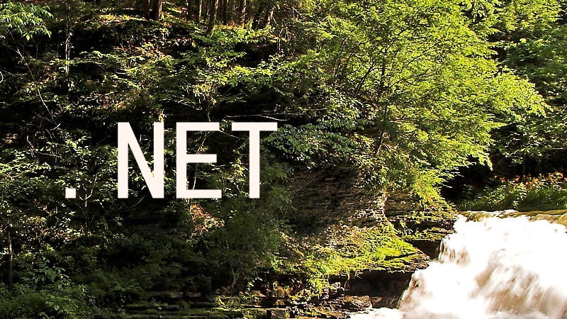 .NET