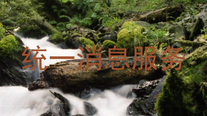 统一消息服务
