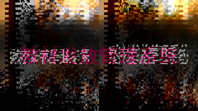 教材发放管理系统