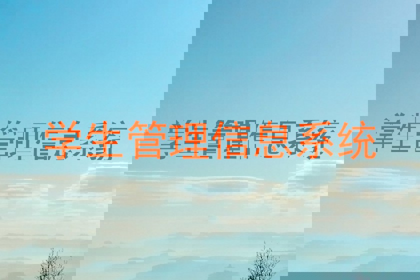学生管理信息系统