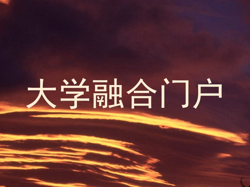 大学融合门户