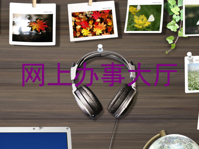 网上办事大厅