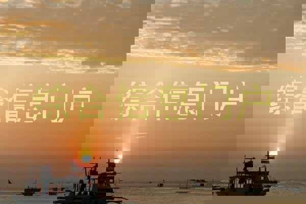 综合信息门户