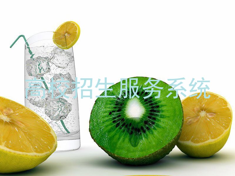 高校招生服务系统
