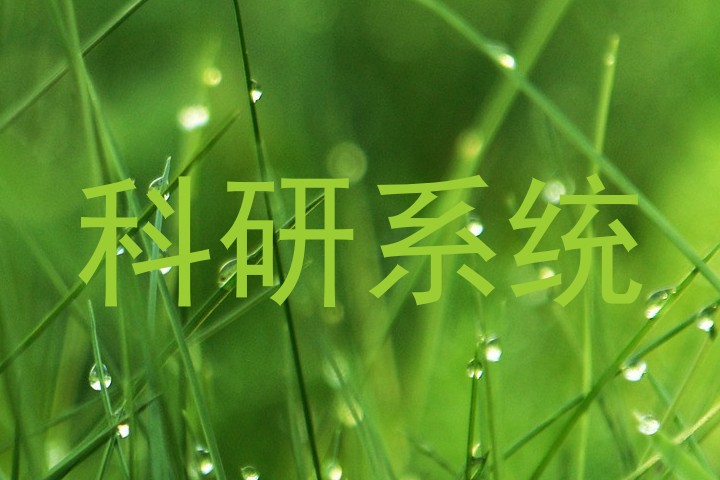 科研系统