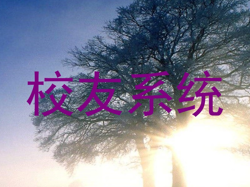 校友系统
