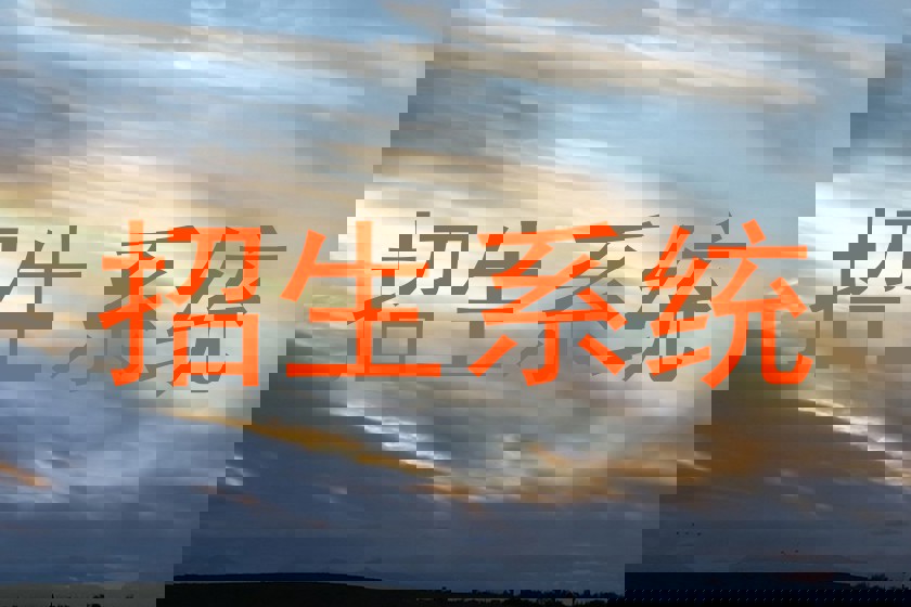 招生系统