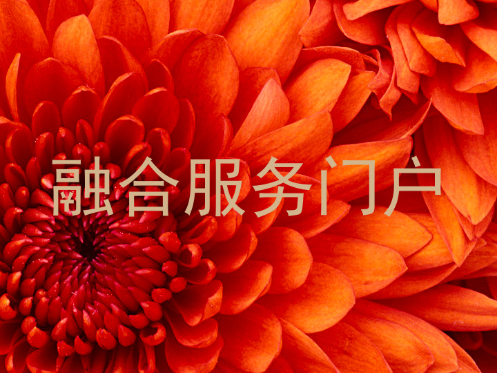 融合服务门户