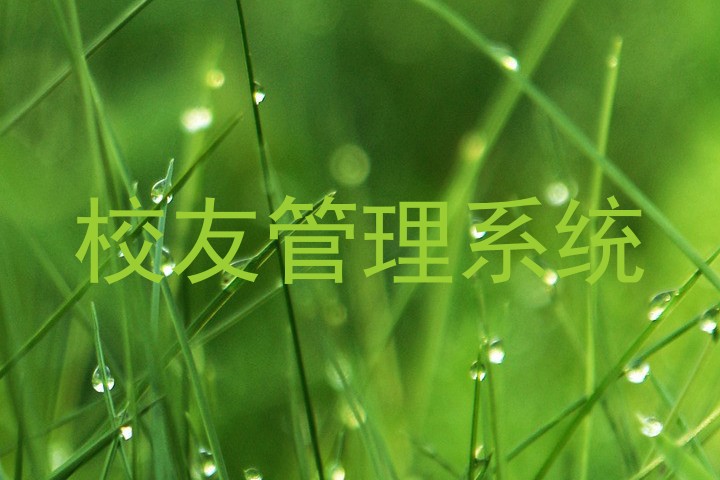 校友管理系统