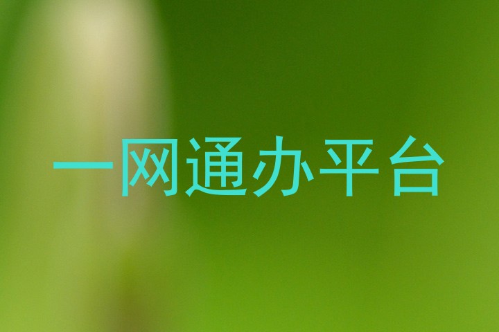 一网通办平台