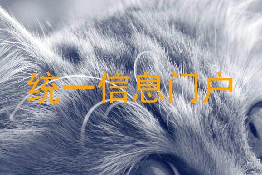 统一信息门户