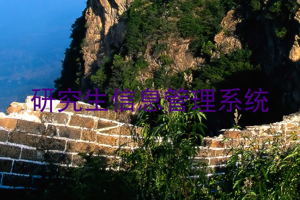 研究生信息管理系统