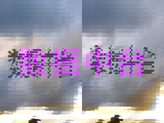 数据中台
