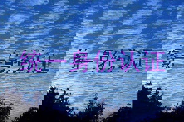 统一身份认证