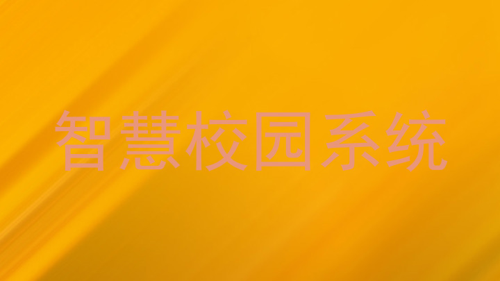 智慧校园系统