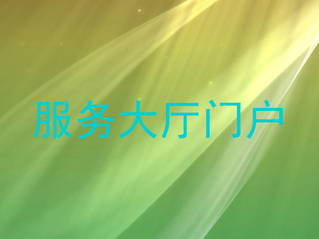 服务大厅门户