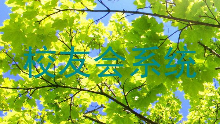 校友会系统