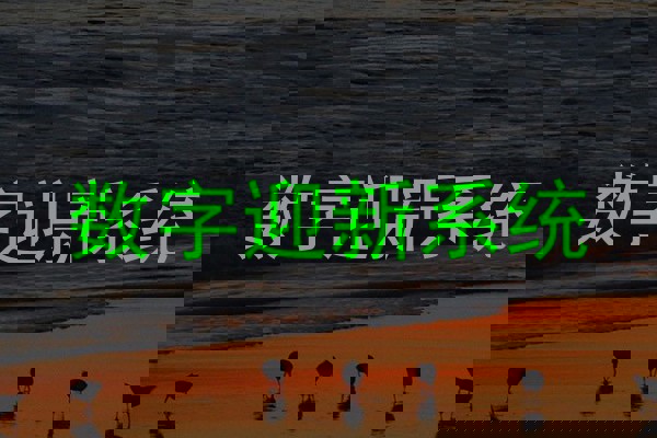 数字迎新系统