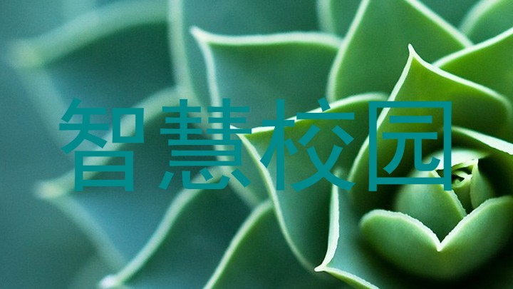 智慧校园