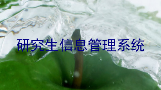研究生信息管理系统