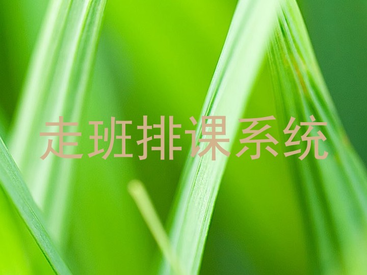 走班排课系统