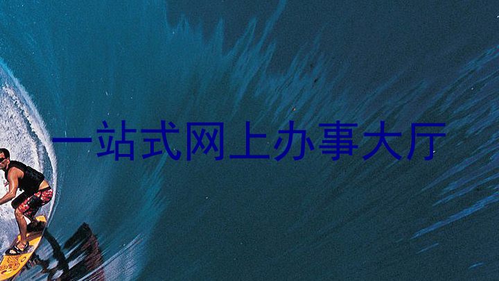 一站式网上办事大厅
